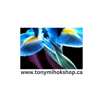 Tony Mihok logo